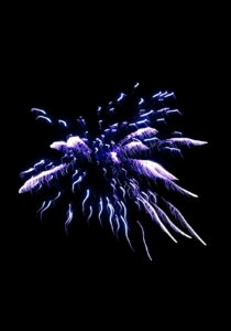 Feuerwerk in Nürnberg: Einzigartiges Erlebnis